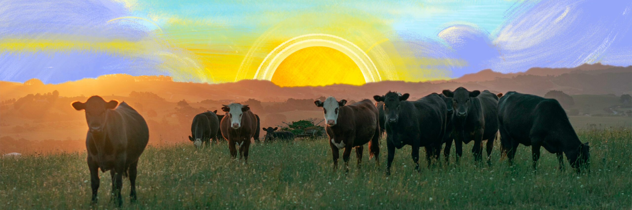 Verde Farms, LLC photo 4